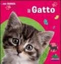 Il gatto