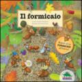 Il formicaio