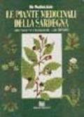 Piante medicinali della Sardegna