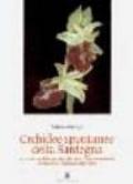 Orchidee spontanee della Sardegna. Origine, morfologia, riproduzione, impollinazione, ibridazione, anomalie, fioritura
