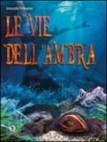 Le vie dell'ambra