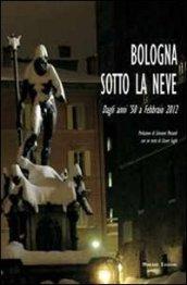 Bologna sotto la neve. Dagli anni '50 fino a febbraio 2012