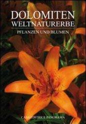 Dolomiten weltnaturerbe. Pflanzen und blumen