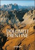 Dolomiti trentine. Ediz. illustrata