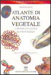 Atlante di anatomia vegetale. La struttura microscopica delle piante vascolari