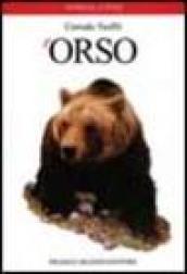 L'orso