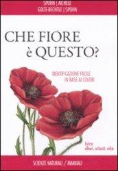 Che fiore è questo?