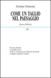 Come un taglio nel paesaggio