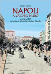 Napoli a occhio nudo. La città nel 1877 tra la miseria dei vicoli e le bellezze del golfo