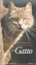 Piccola enciclopedia del gatto