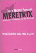 Meretrix. La prostituzione e case chiuse nell'era di Internet