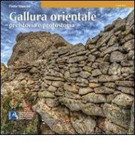 Gallura orientale. Preistoria e protostoria