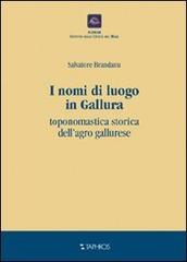 I nomi di luogo in Gallura. Toponomastica storica dell'agro gallurese