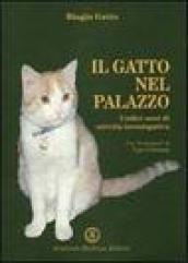 Il gatto nel palazzo. Undici anni di attività investigativa