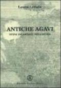 Antiche agavi. Spine incarnate nell'anima