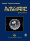 Da Mandanach a Mandanici. Storia, religione, tradizioni nella valle degli Ulivi