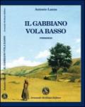 Il gabbiano vola basso