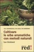 Coltivare le erbe aromatiche con metodi naturali