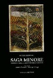 Saga minore. Da Adua ad oggi il romanzo di un secolo