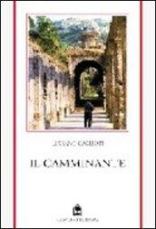 Il camminante