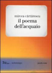 Il poema dell'acquaio