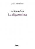 La diga ombra