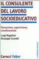 Consulente del lavoro socio-educativo (Il)