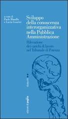 Sviluppo della conoscenza interorganizzativa nella pubblica amministrazione. Rilevazione dei carichi di lavoro nel tribunale di Potenza