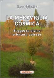 La meraviglia cosmica. Saggezza divina e natura celeste