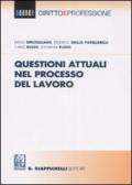 Questioni attuali nel processo del lavoro