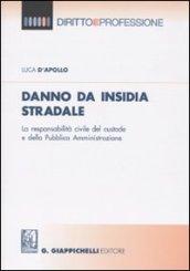 Danno da insidia stradale. La responsabilità civile del custode e della Pubblica Amministrazione