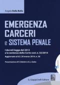 Emergenza carceri e sistema penale