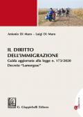 Il diritto dell'immigrazione