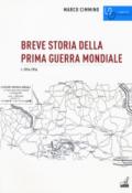 Breve storia della prima guerra mondiale: 1