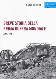 Breve storia della prima guerra mondiale. Vol. 2: 1916-1918.