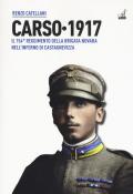 Carso 1917. Il 154º reggimento brigata Novara nell'inferno di Castagnevizza