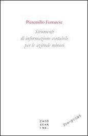 Strumenti di informazione contabile per le aziende minori