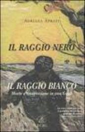 Il raggio nero, il raggio bianco. Morte e resurrezione in Van Gogh