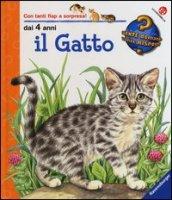 Il gatto