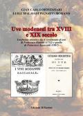 Uve modenesi tra XVIII e XIX secolo