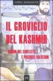 Groviglio del kashmir