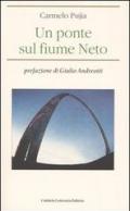 Un ponte sul fiume Neto