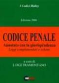 Codice penale 2006. Annotato con la giurisprudenza. Leggi complementari e schemi
