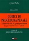 Codice di procedura penale. Annotato con la giurisprudenza. Leggi complementari e schemi