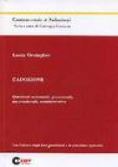 L'adozione. Questioni sostanziali, processuali, internazionali, amministrative