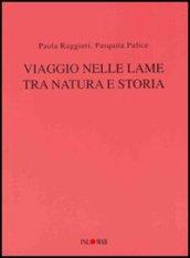 Viaggio nelle lame tra natura e storia. Con CD-ROM