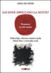 Sai dove impiccano la notte? Romanzo in 144 stanze. Videoclips, sbron ze mistico-pulp, black bloc e trenodia rock