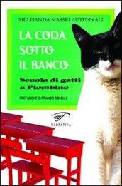 La coda sotto il banco. Scuola di gatti a Piombino