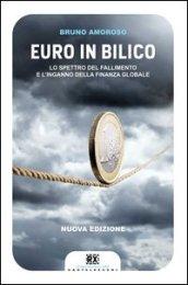 Euro in bilico. Lo spettro del fallimento e l' inganno della finanza globale