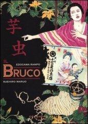 Il bruco